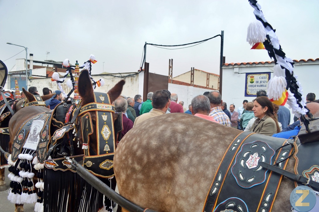 ob.imagen.Descripcion