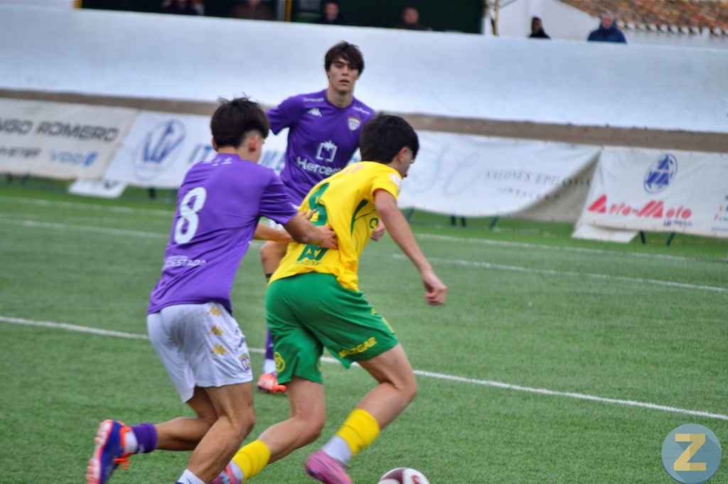 ob.imagen.Descripcion