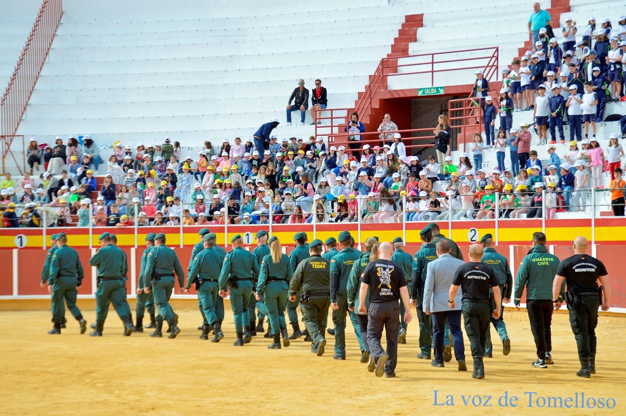 ob.imagen.Descripcion