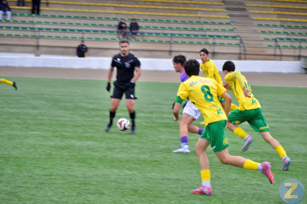 ob.imagen.Descripcion