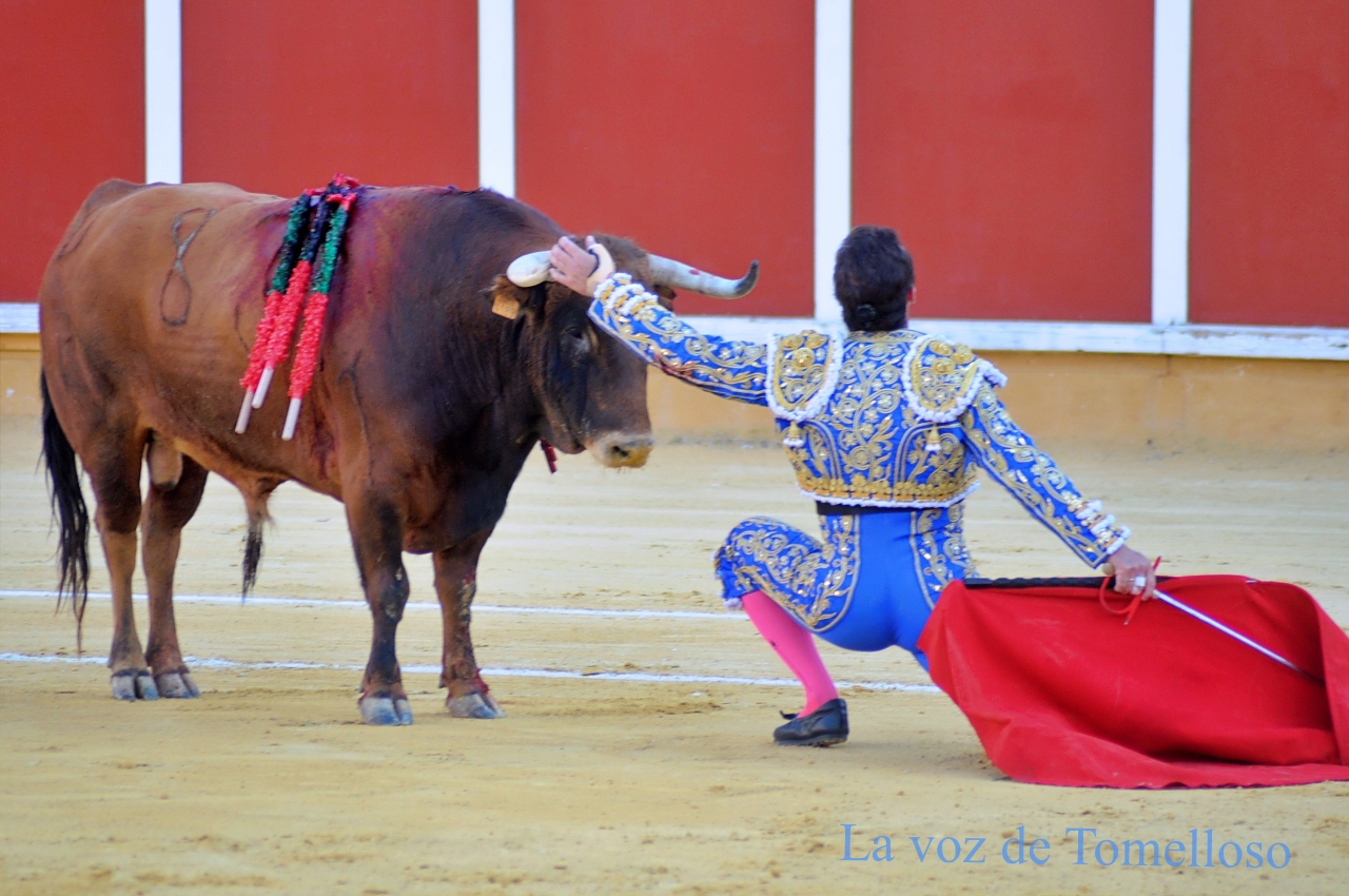 ob.imagen.Descripcion
