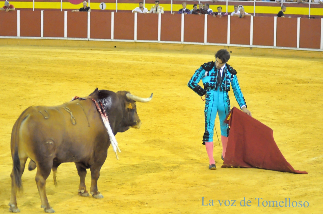 ob.imagen.Descripcion