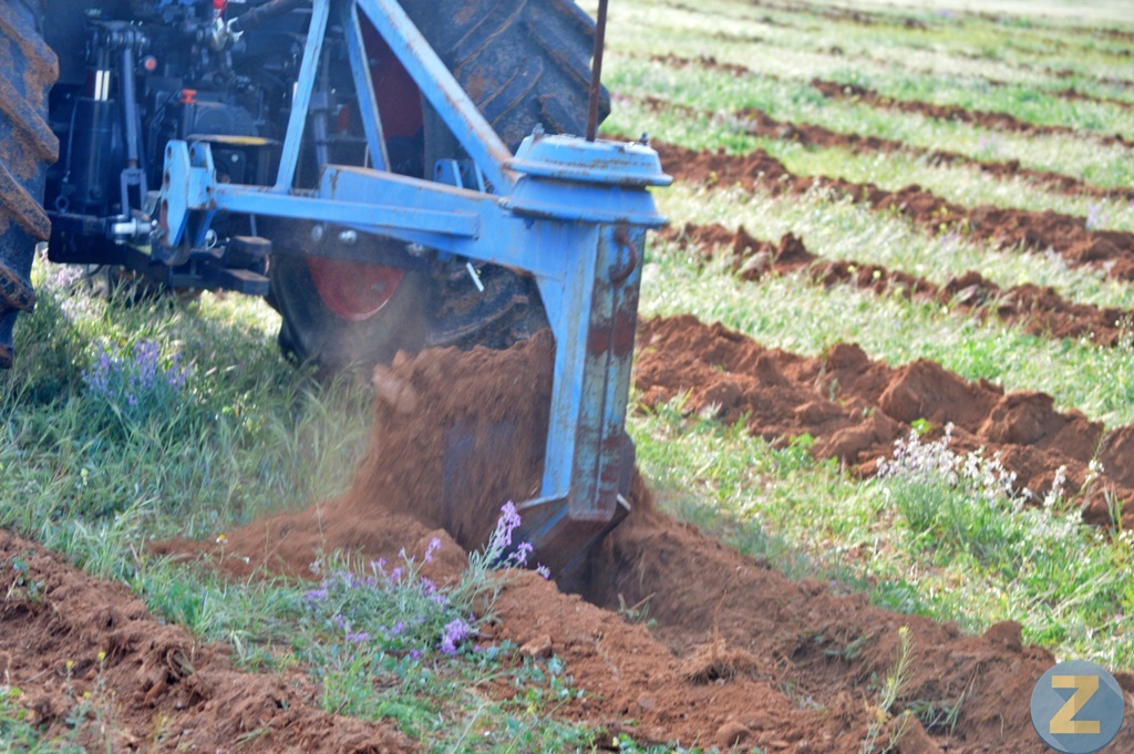 ob.imagen.Descripcion