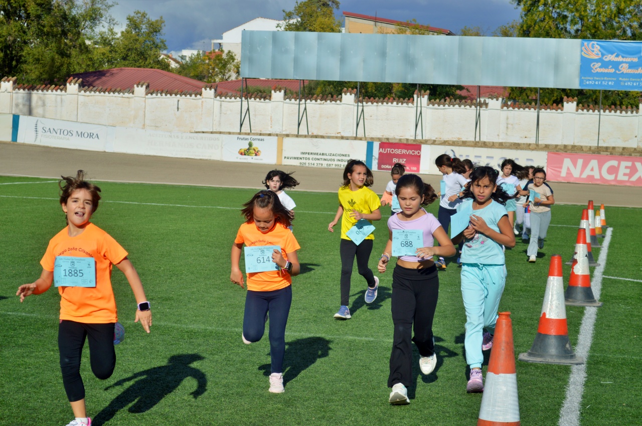 ob.imagen.Descripcion