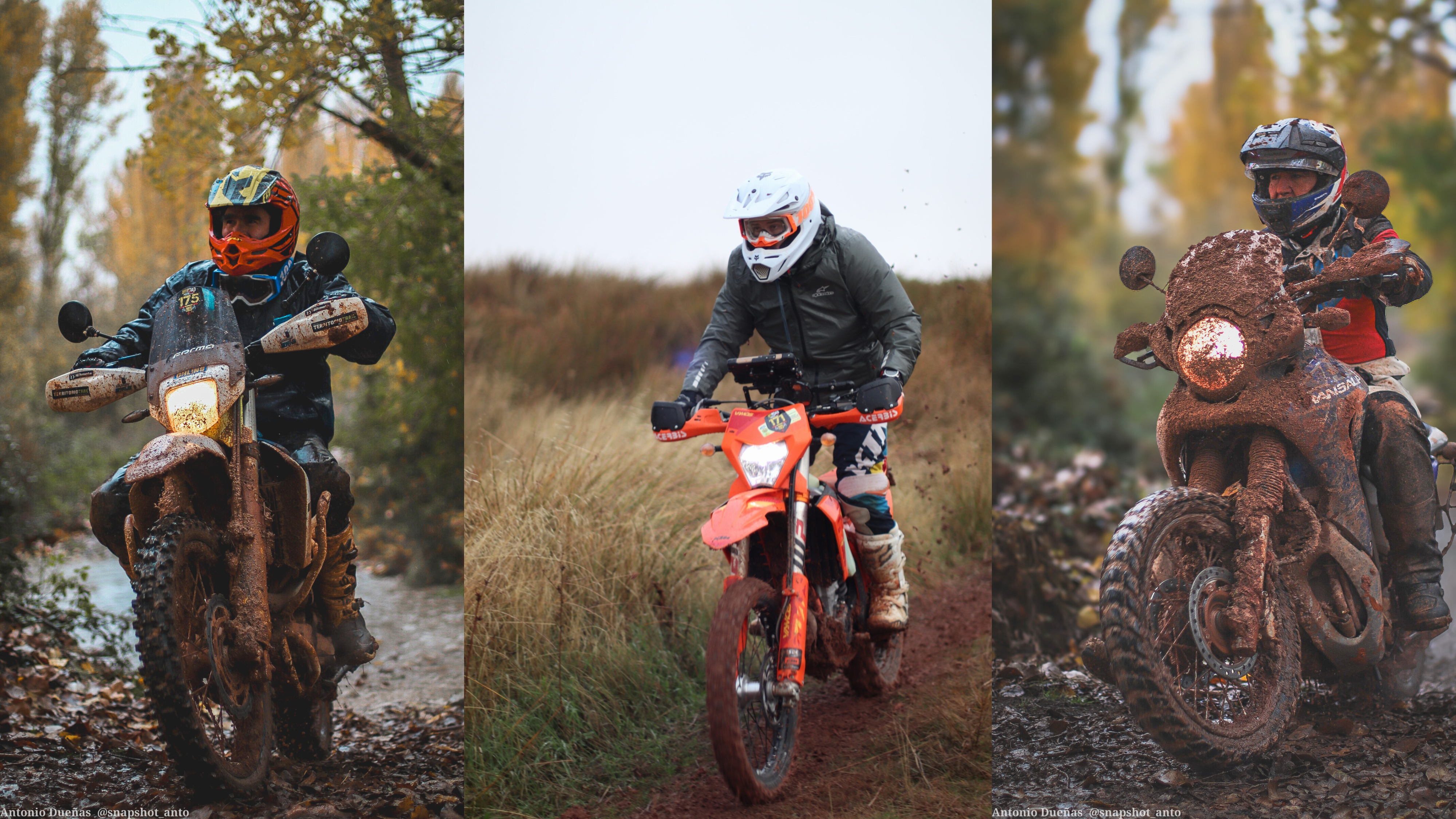 ob.imagen.Descripcion