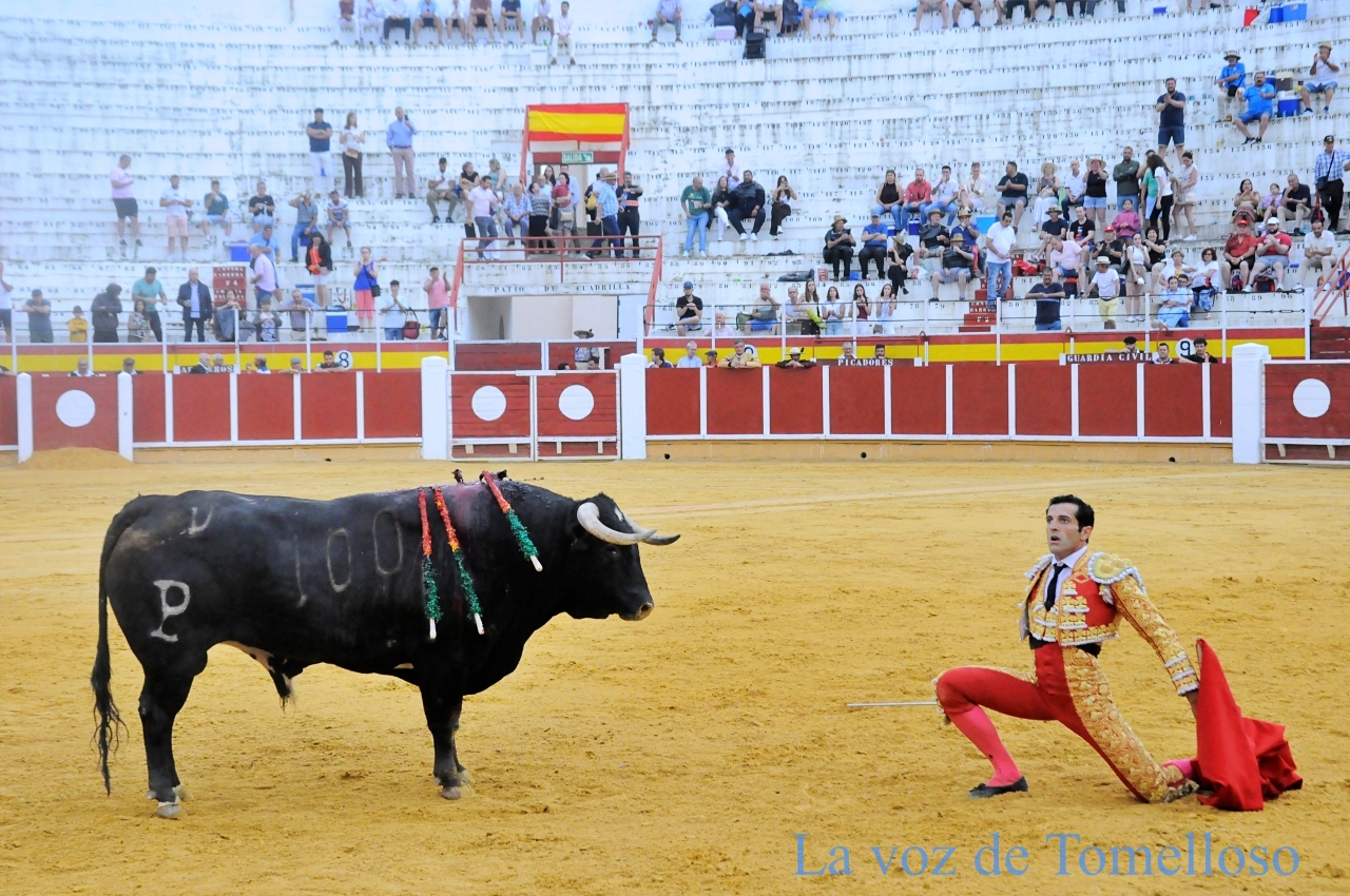 ob.imagen.Descripcion