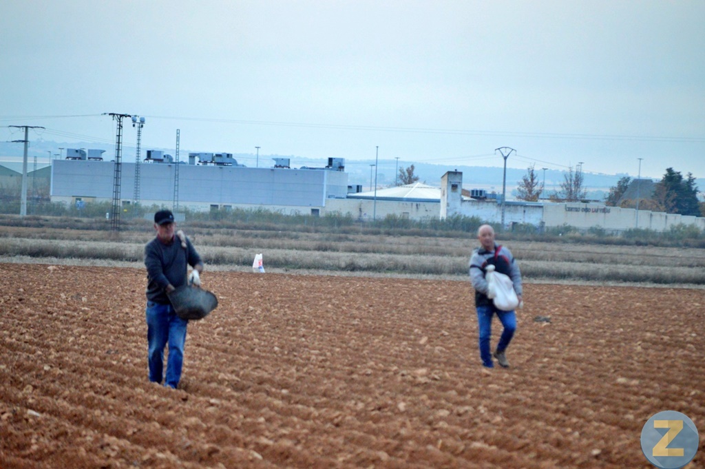 ob.imagen.Descripcion