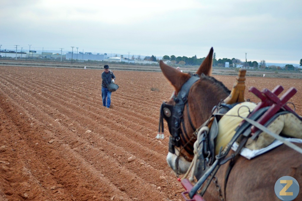 ob.imagen.Descripcion