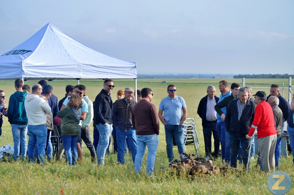 ob.imagen.Descripcion