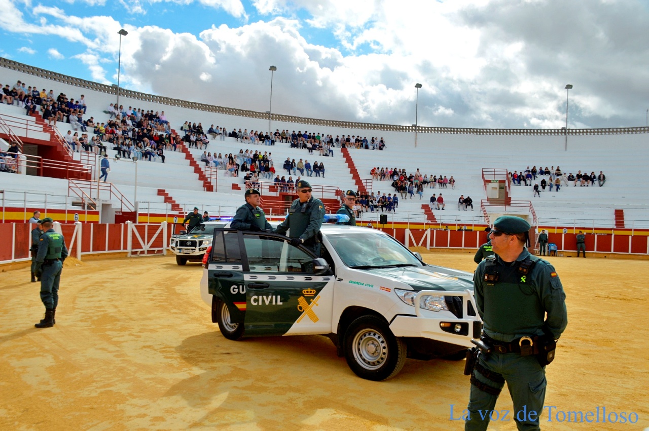 ob.imagen.Descripcion