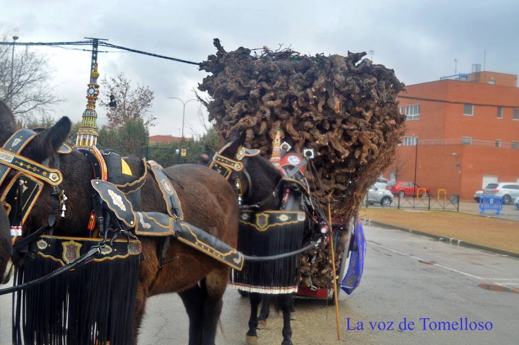 ob.imagen.Descripcion