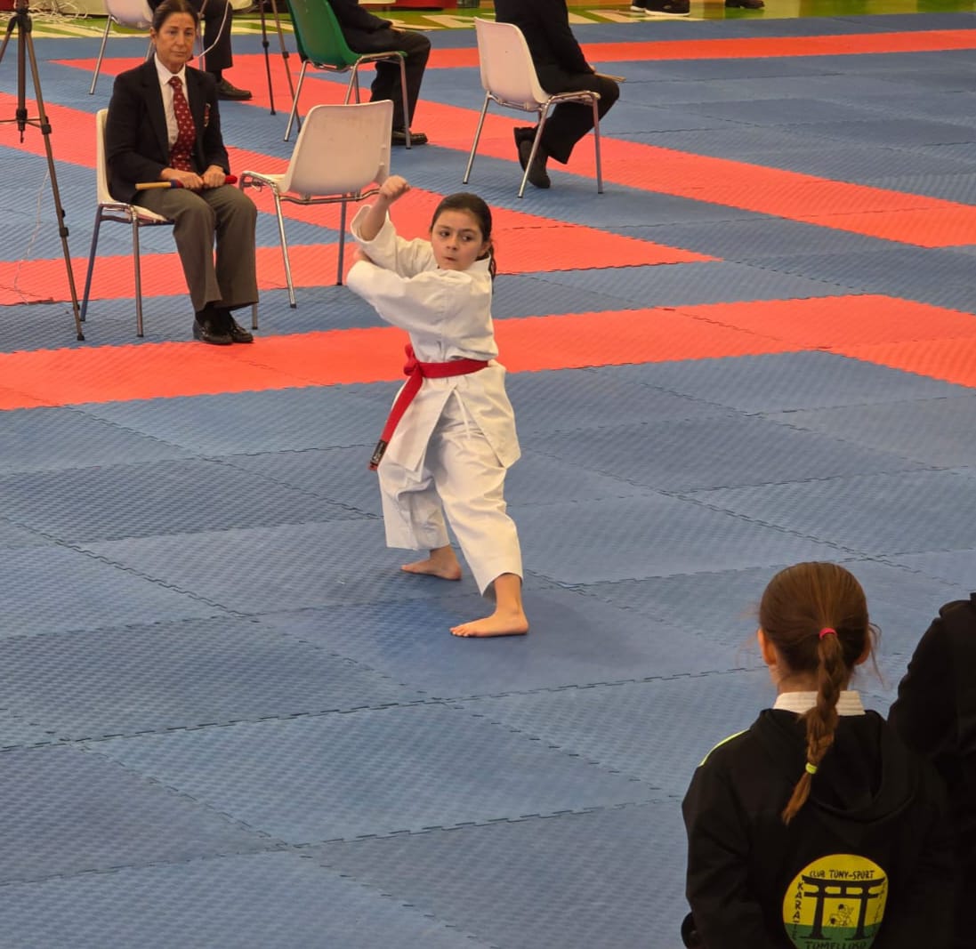 ob.imagen.Descripcion