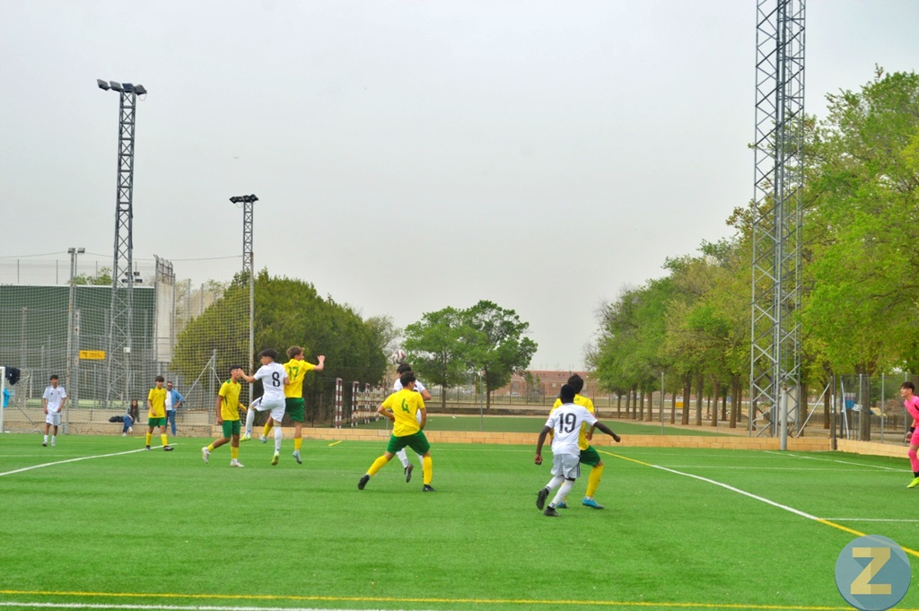 ob.imagen.Descripcion