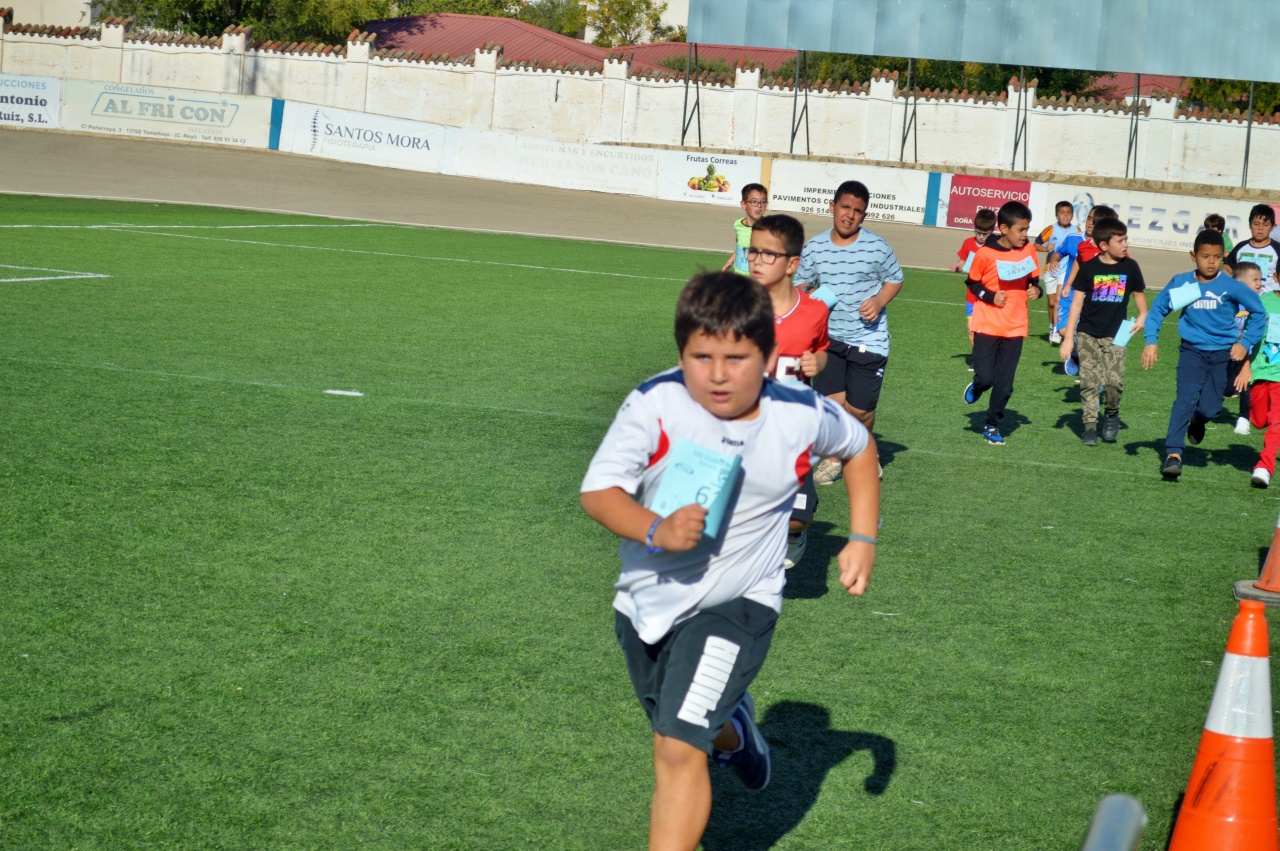 ob.imagen.Descripcion