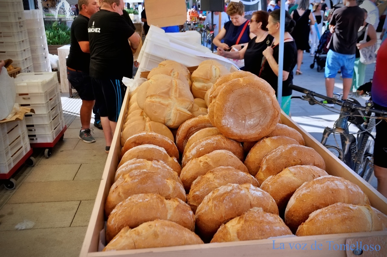 ob.imagen.Descripcion