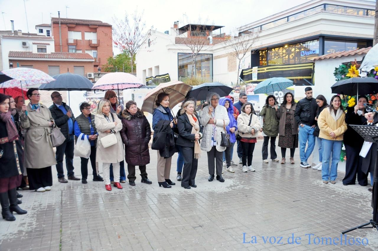 ob.imagen.Descripcion