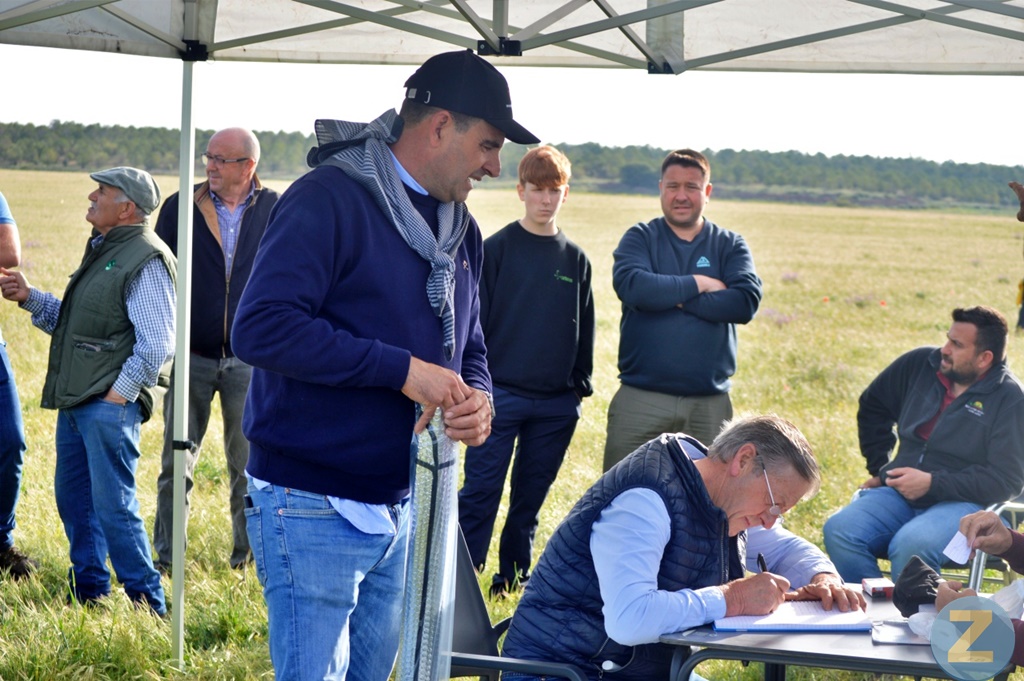 ob.imagen.Descripcion