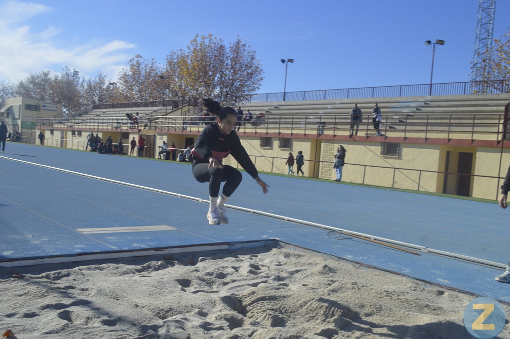 ob.imagen.Descripcion