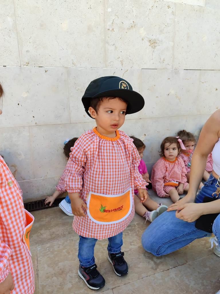 ob.imagen.Descripcion