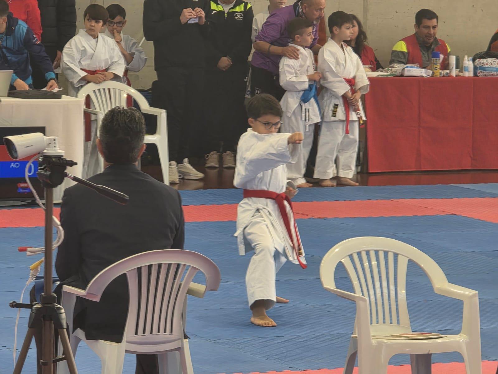 ob.imagen.Descripcion