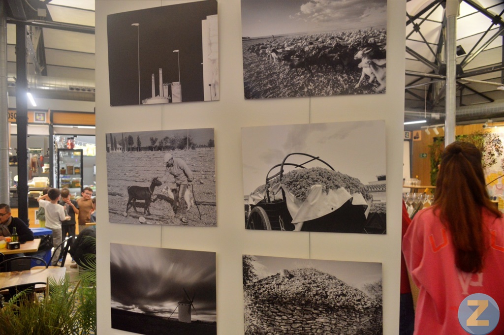 ob.imagen.Descripcion