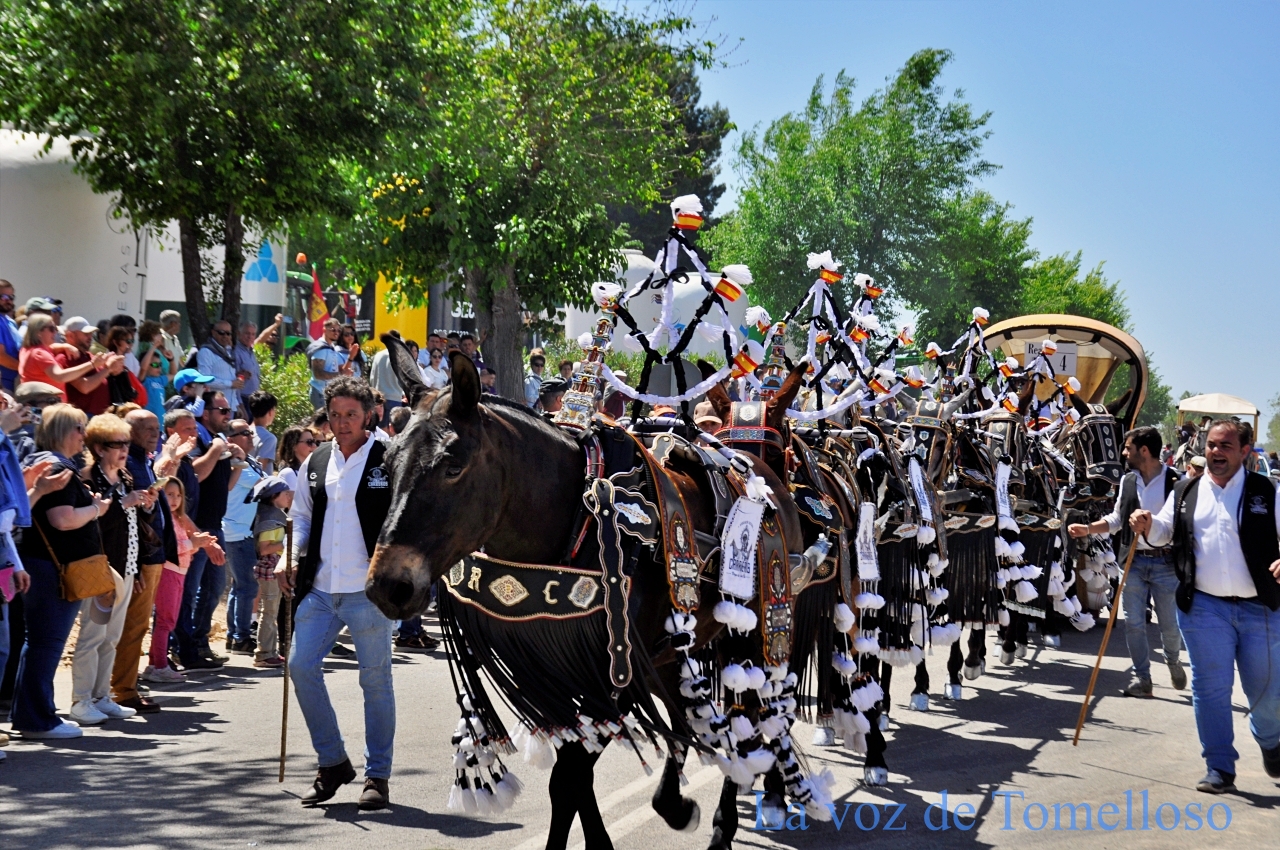 ob.imagen.Descripcion