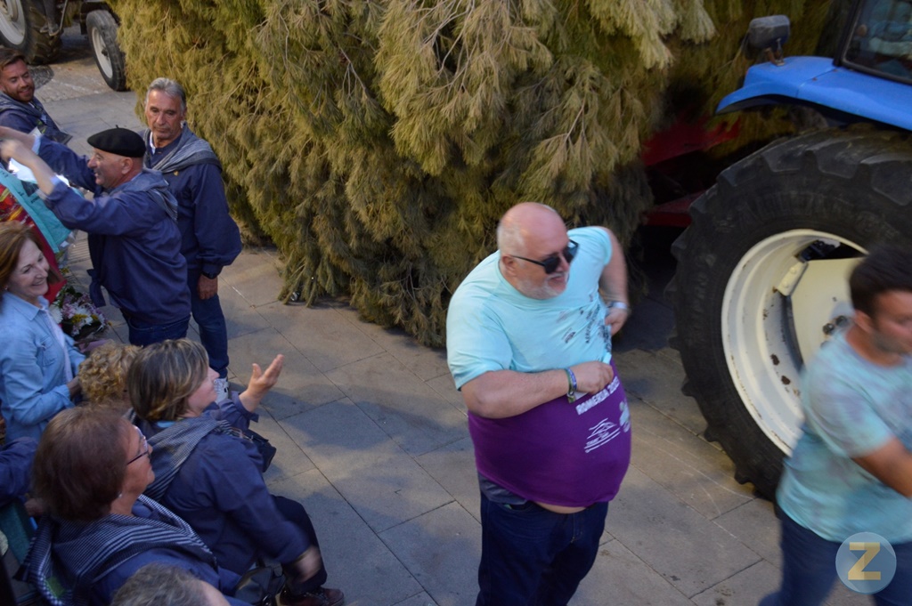 ob.imagen.Descripcion