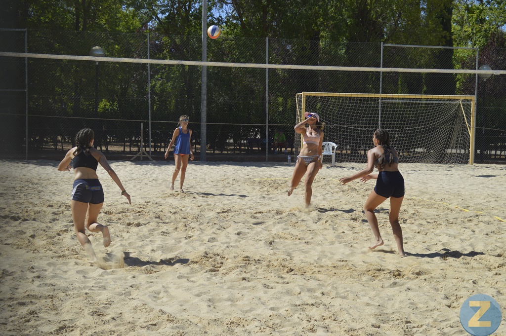 ob.imagen.Descripcion