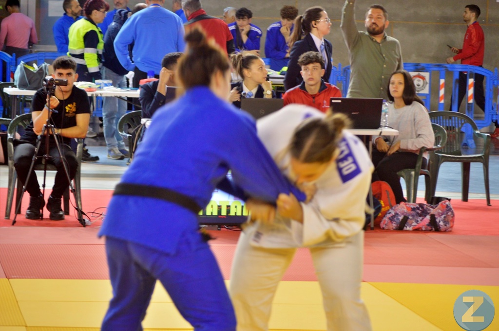 ob.imagen.Descripcion