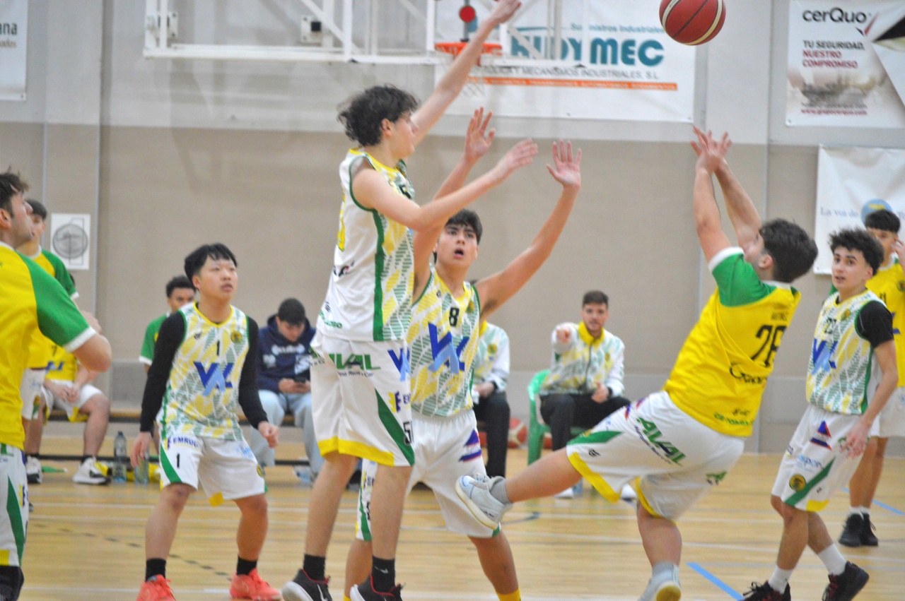 ob.imagen.Descripcion