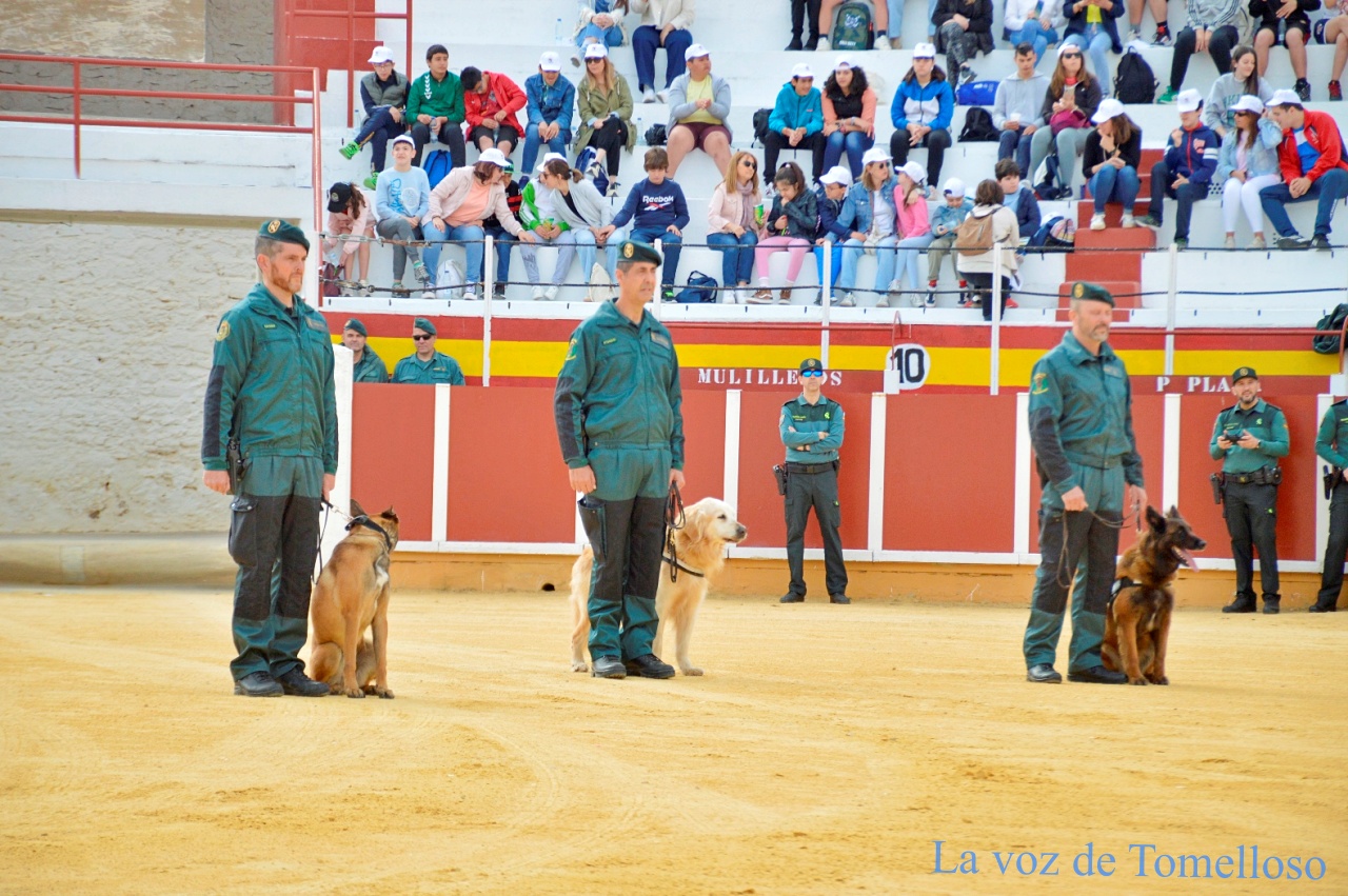 ob.imagen.Descripcion