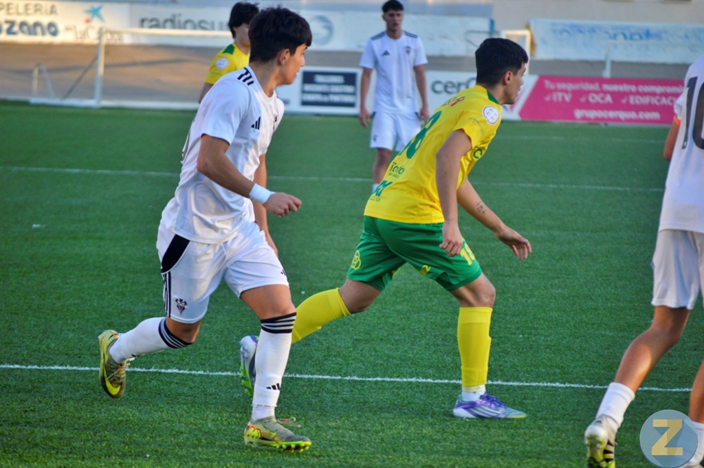 ob.imagen.Descripcion