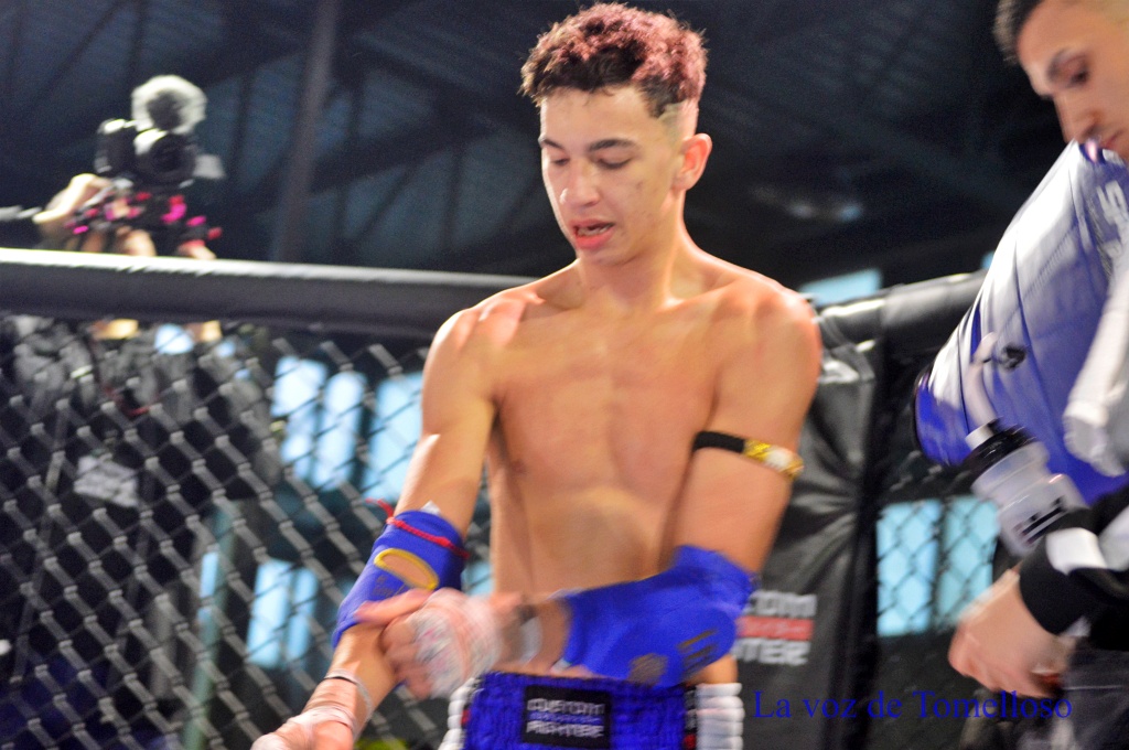 ob.imagen.Descripcion