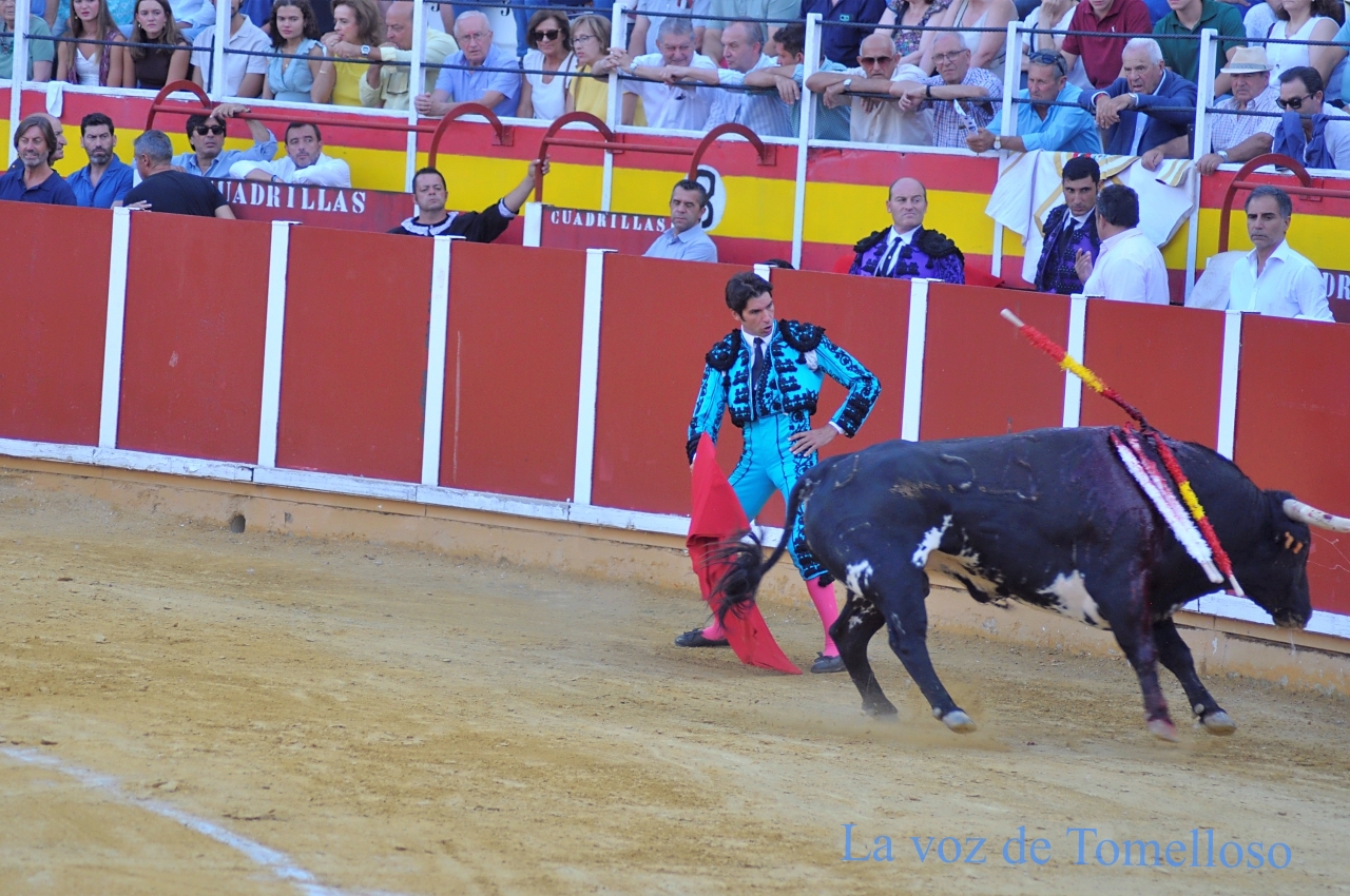 ob.imagen.Descripcion