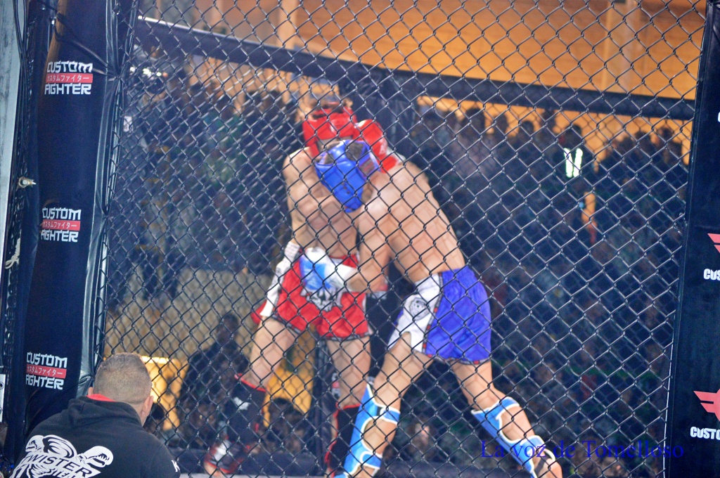 ob.imagen.Descripcion