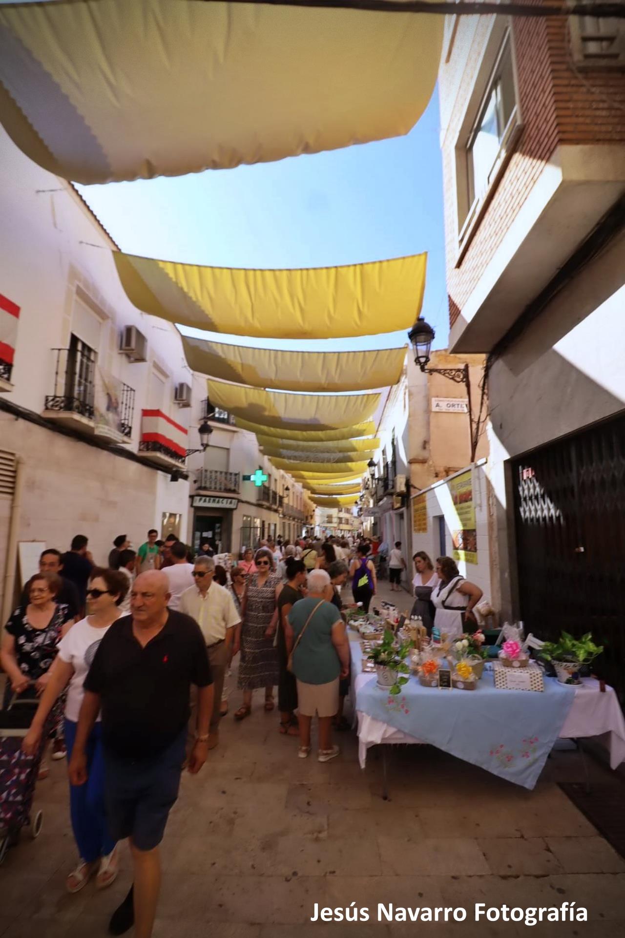 ob.imagen.Descripcion