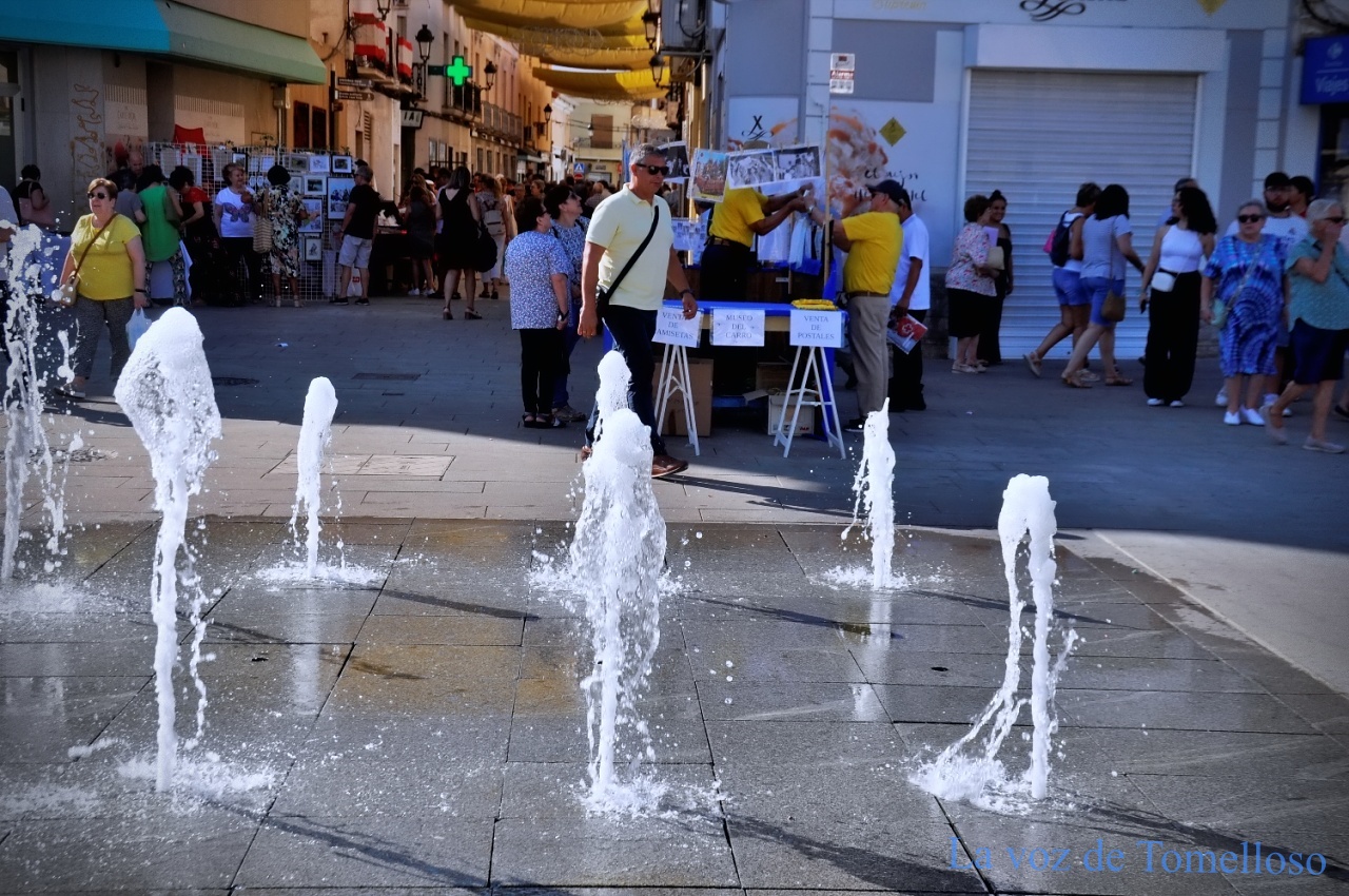 ob.imagen.Descripcion