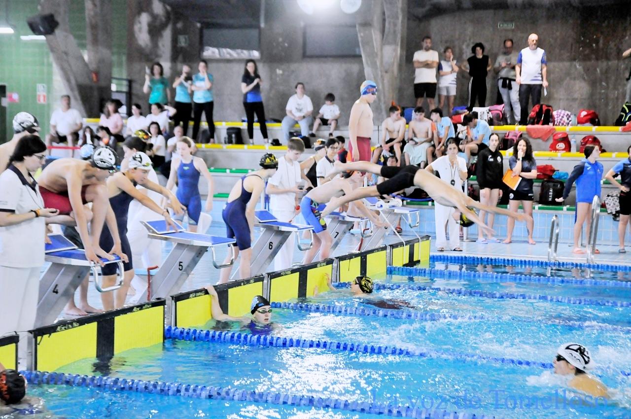 ob.imagen.Descripcion