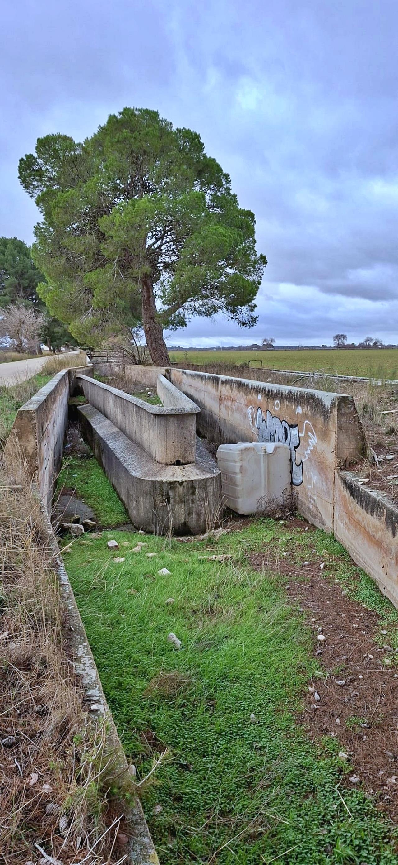 ob.imagen.Descripcion