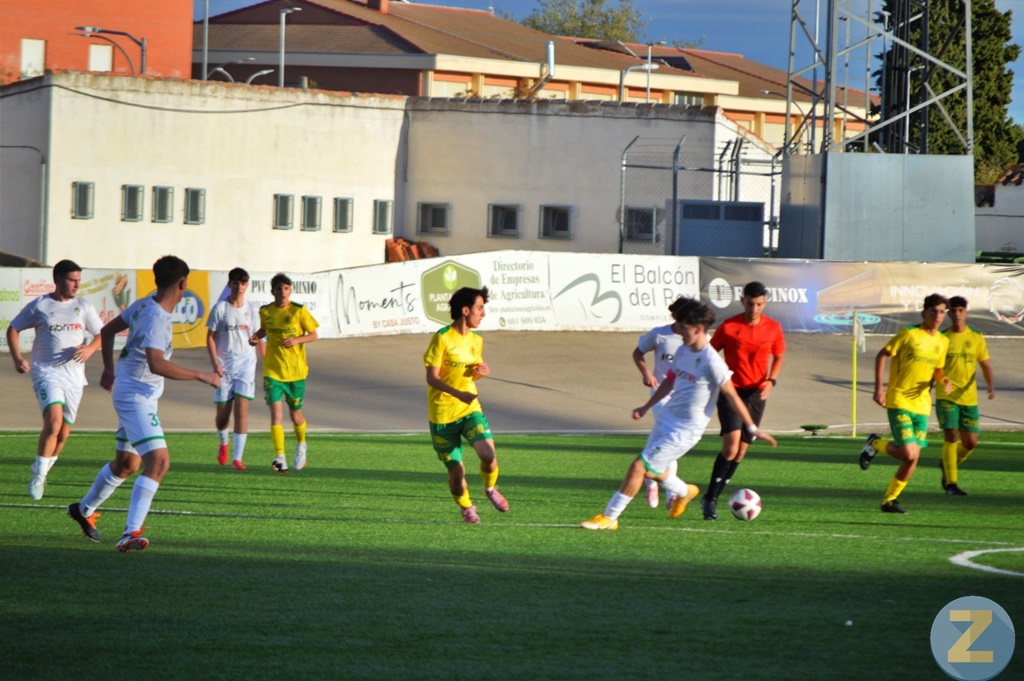 ob.imagen.Descripcion