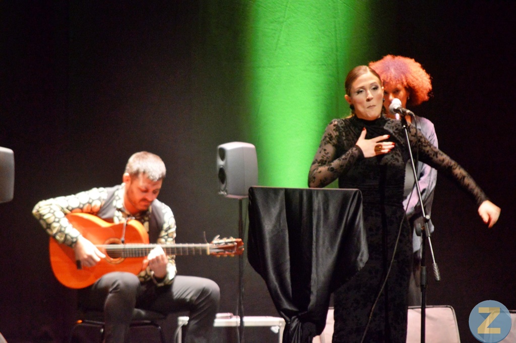 ob.imagen.Descripcion