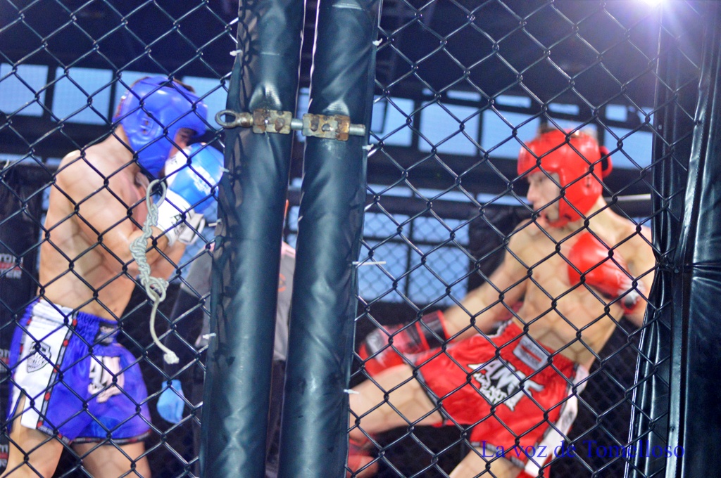 ob.imagen.Descripcion