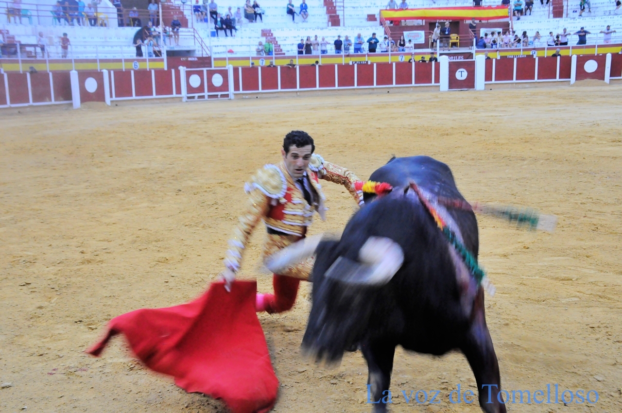 ob.imagen.Descripcion