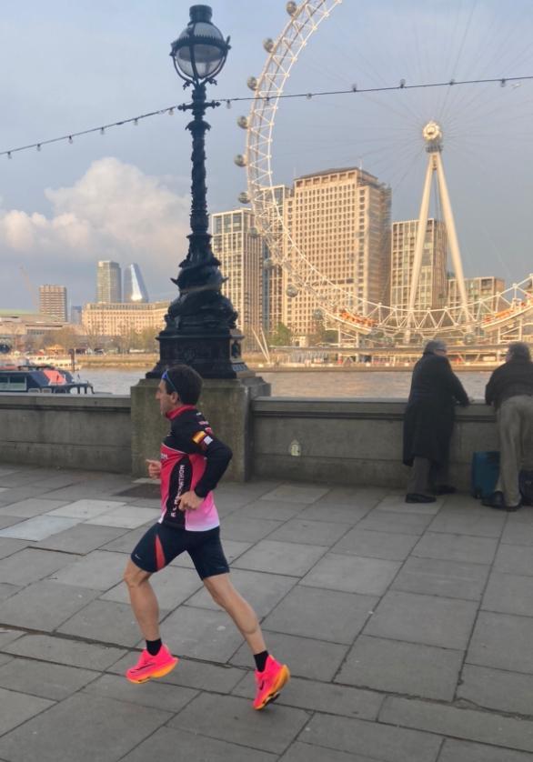 ob.imagen.Descripcion