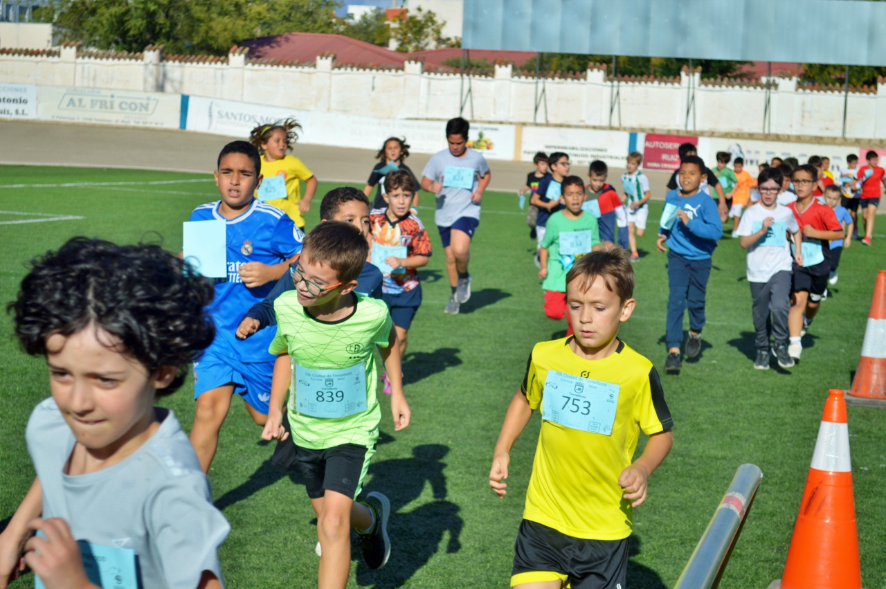 ob.imagen.Descripcion