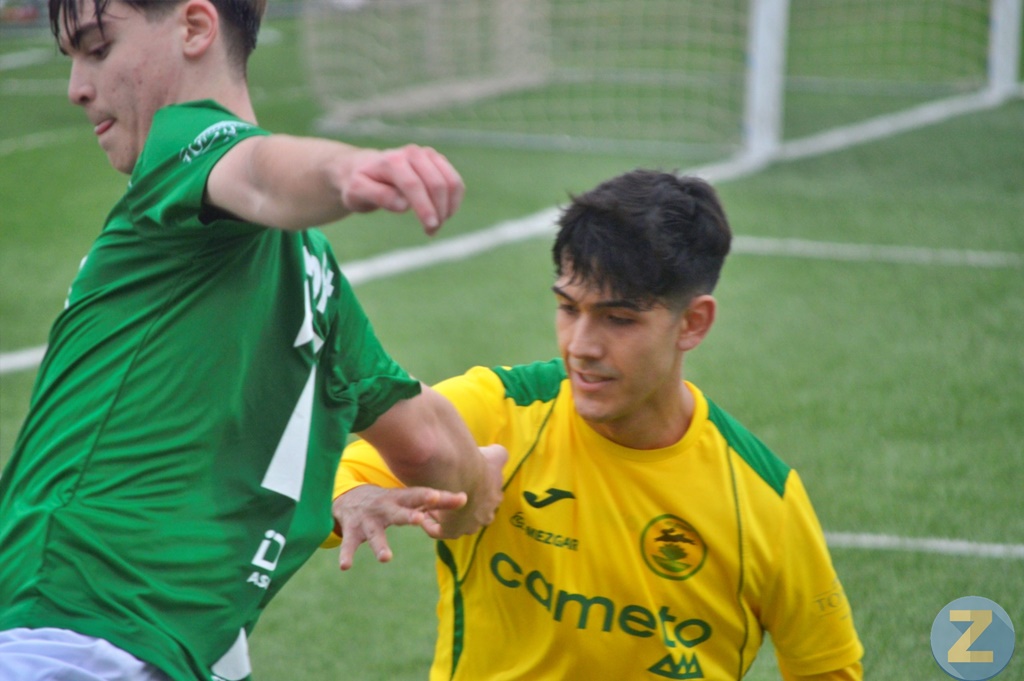 ob.imagen.Descripcion