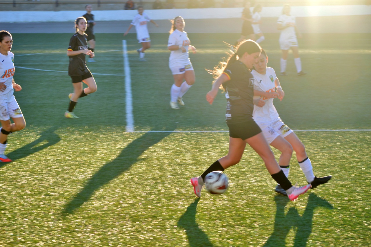 ob.imagen.Descripcion