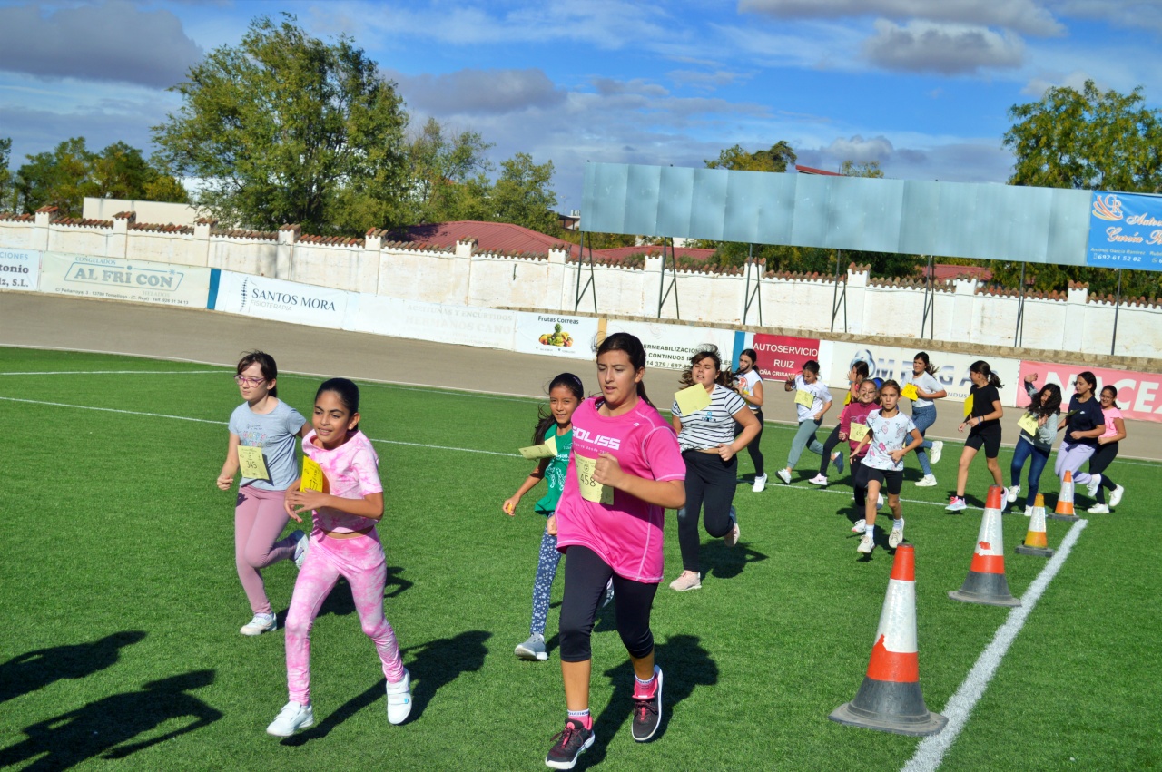 ob.imagen.Descripcion