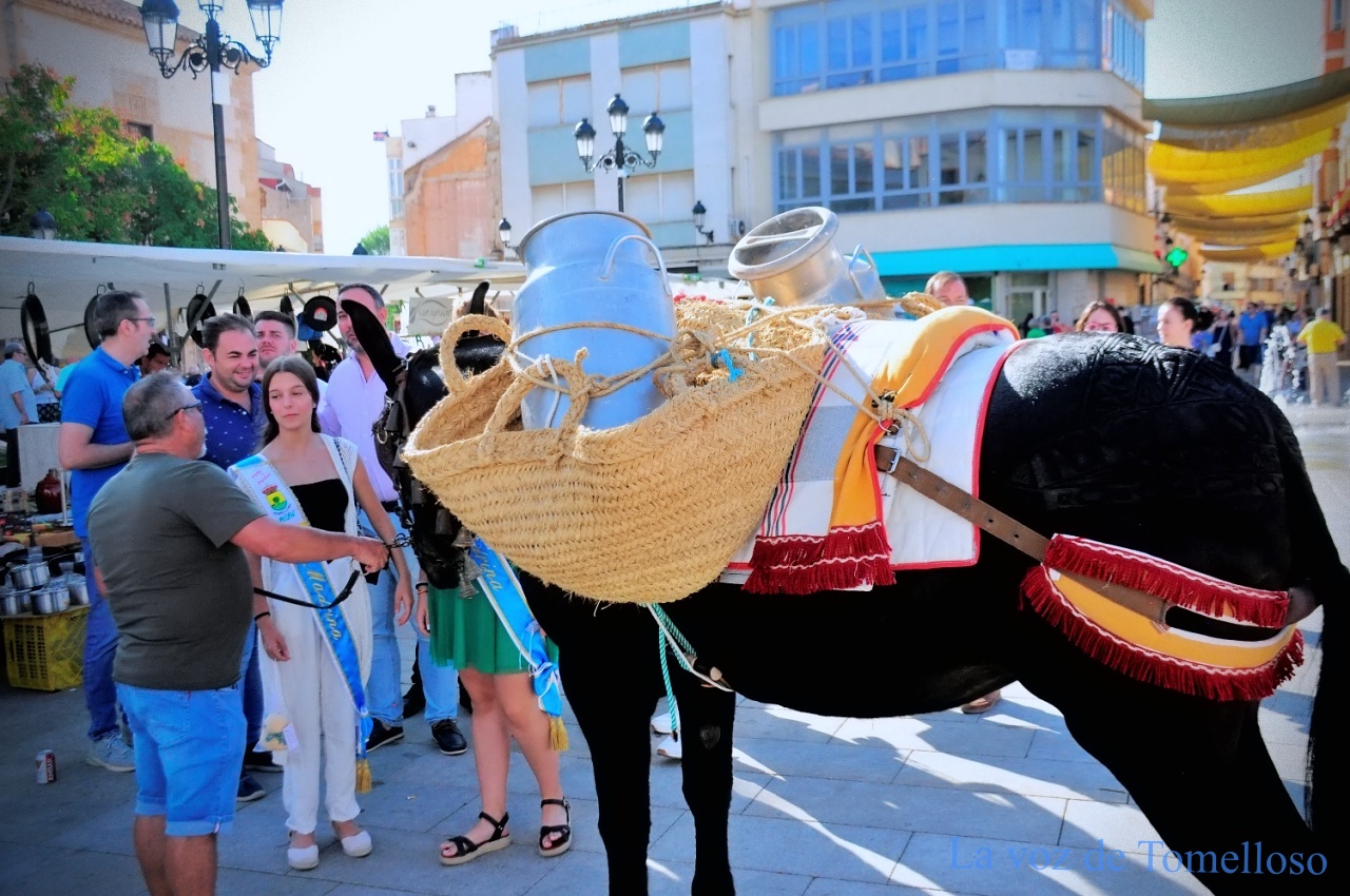 ob.imagen.Descripcion