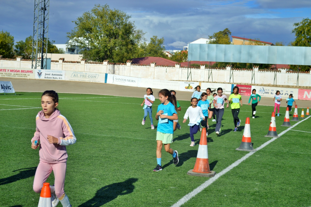 ob.imagen.Descripcion